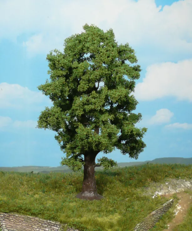 1 oaks 18 cm