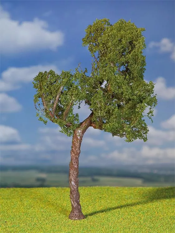 1 PREMIUM Scots pine