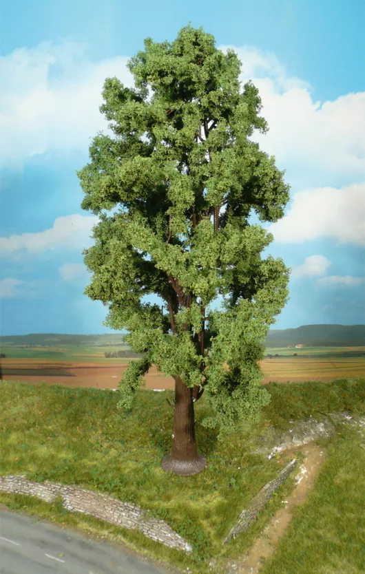 1 Sycamores Tree 35cm