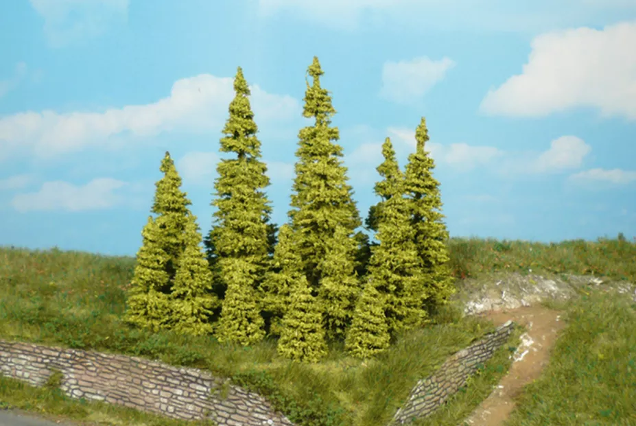 10 larches 3-5cm