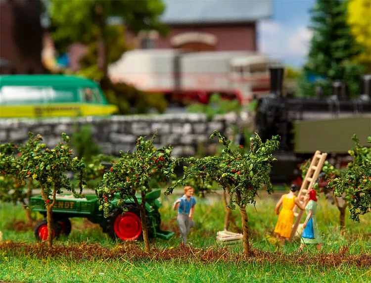 10 small apple trees