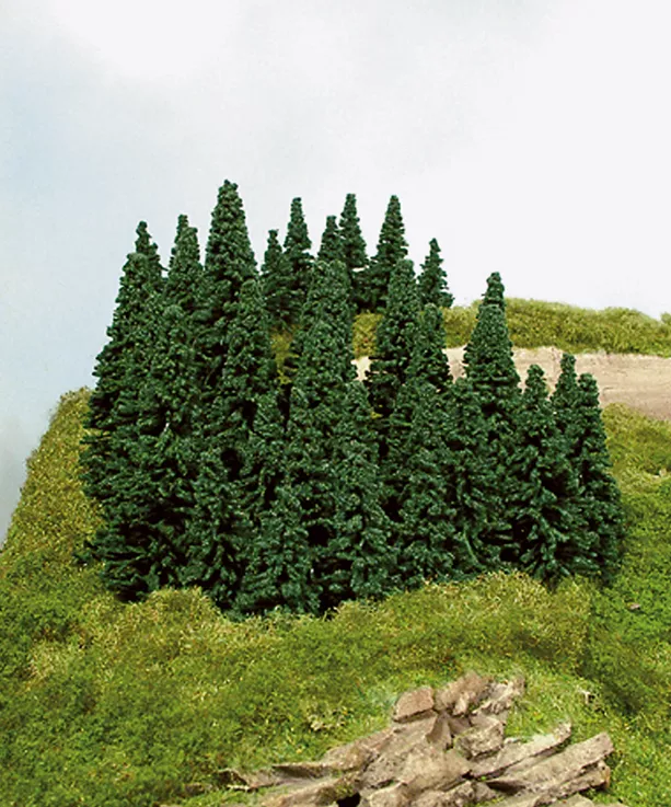 100 contact spruce 5-7 cm