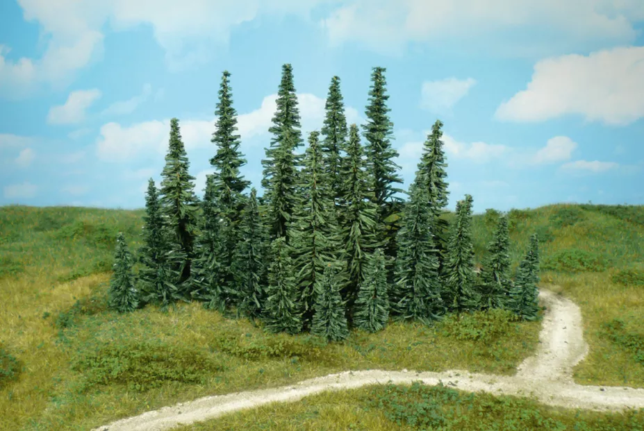 100 fir trees 5-7 cm (replacement f 2200)
