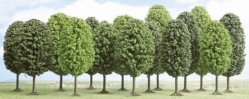 12 deciduous trees 3.5 - 5.5cm