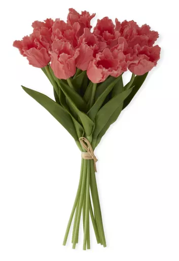 13 Inch Coral Real Touch Parrot Tulip Bundle (12 Stems)