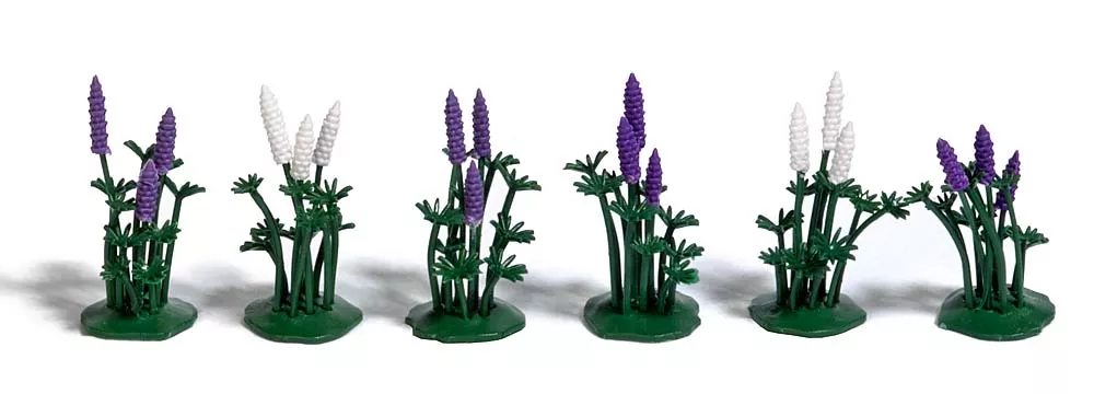 18 Wild Lupines