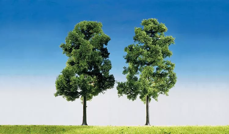 2 Beeches Top Series