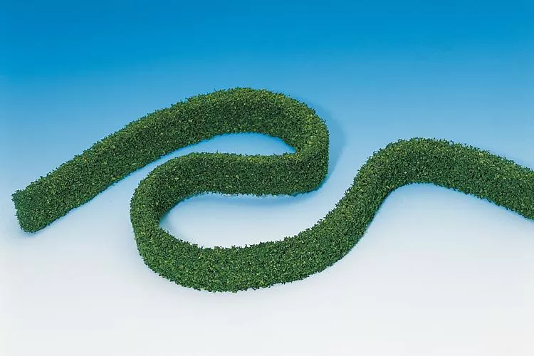 2 Hedges