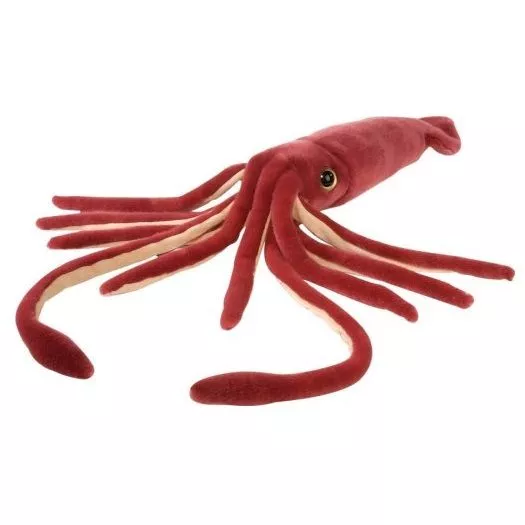 Giant Squid 12 inch
