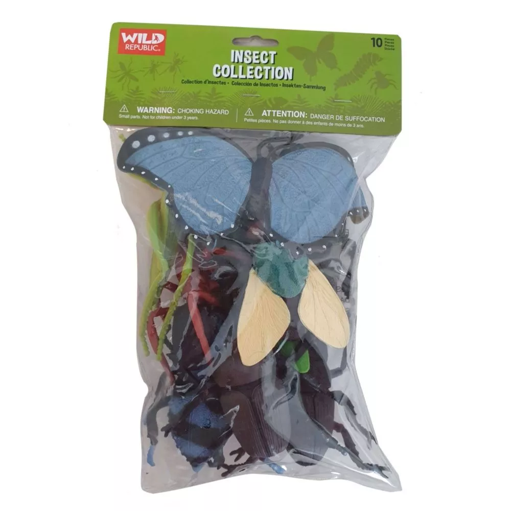 Insect Collection 10 Piece