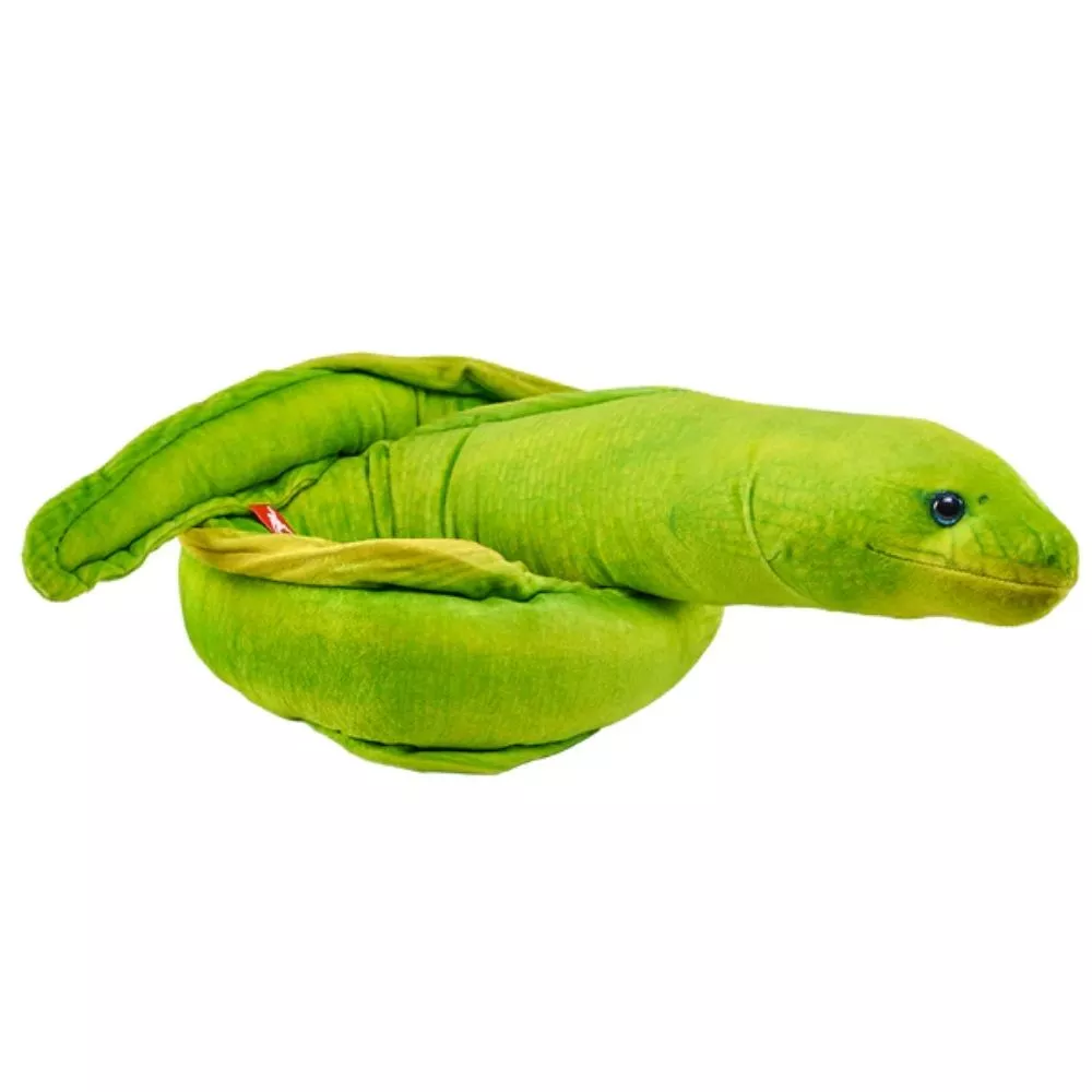 Moray Eel Green