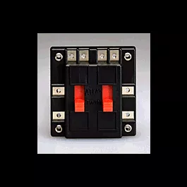 Twin Connector -- Douple-Pole, Double-Throw Reversing Switch