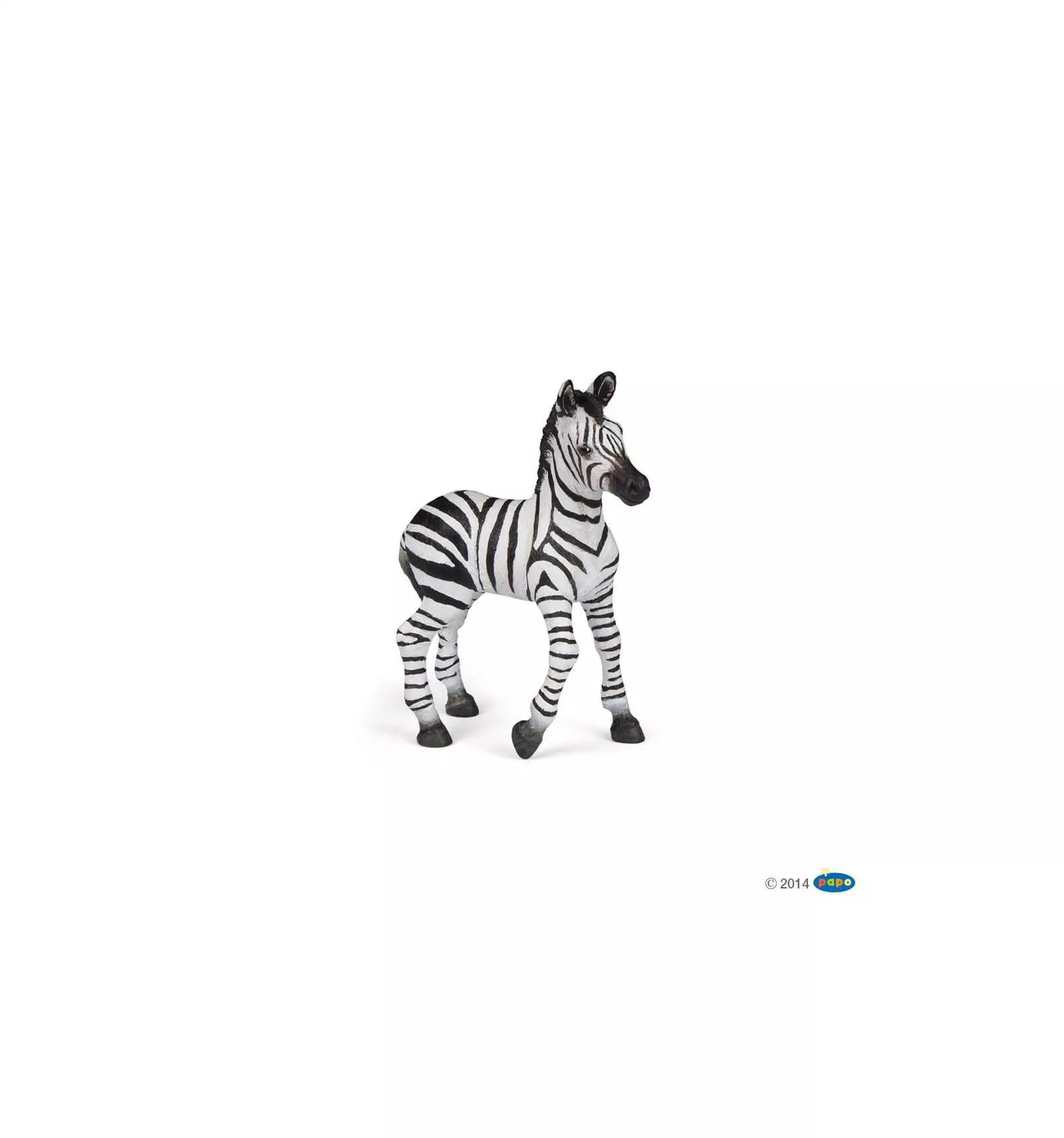 Zebra Cub